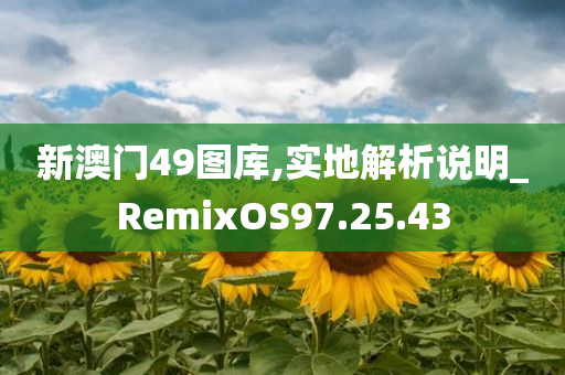 新澳门49图库,实地解析说明_RemixOS97.25.43