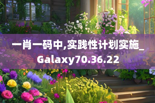 一肖一码中,实践性计划实施_Galaxy70.36.22