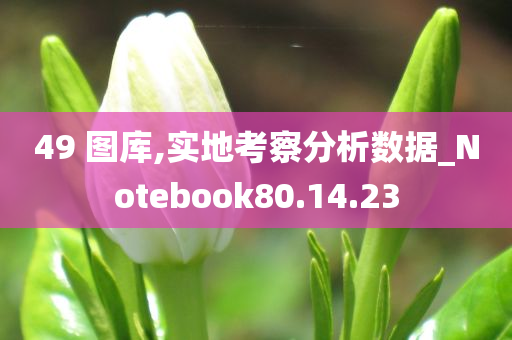 49 图库,实地考察分析数据_Notebook80.14.23