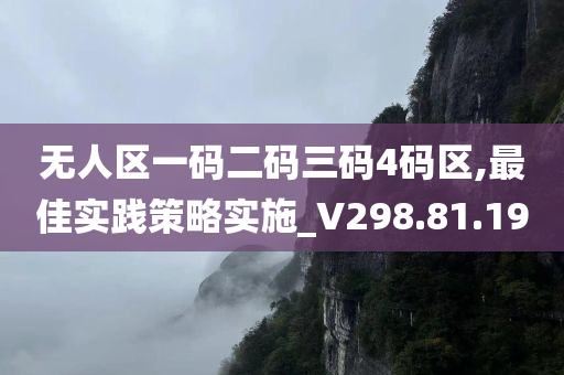 无人区一码二码三码4码区,最佳实践策略实施_V298.81.19