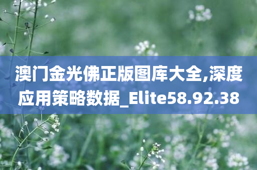 澳门金光佛正版图库大全,深度应用策略数据_Elite58.92.38