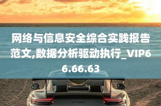 网络与信息安全综合实践报告范文,数据分析驱动执行_VIP66.66.63