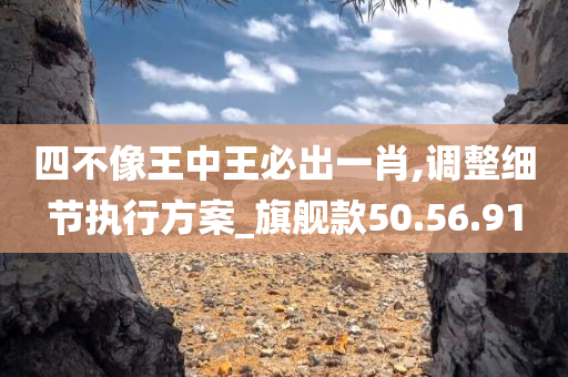 四不像王中王必出一肖,调整细节执行方案_旗舰款50.56.91