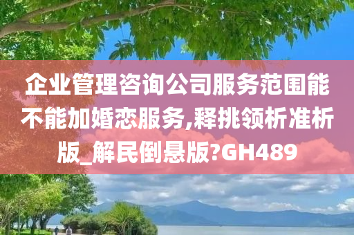 企业管理咨询公司服务范围能不能加婚恋服务,释挑领析准析版_解民倒悬版?GH489