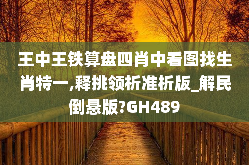 王中王铁算盘四肖中看图找生肖特一,释挑领析准析版_解民倒悬版?GH489