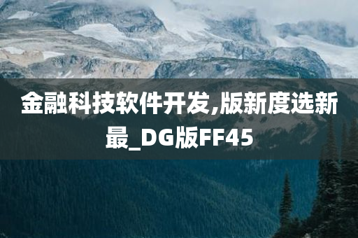 金融科技软件开发,版新度选新最_DG版FF45