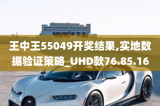 王中王55049开奖结果,实地数据验证策略_UHD款76.85.16