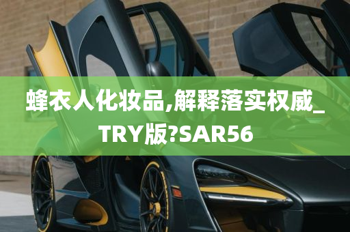 蜂衣人化妆品,解释落实权威_TRY版?SAR56