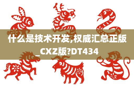 什么是技术开发,权威汇总正版_CXZ版?DT434