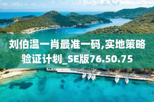 刘伯温一肖最准一码,实地策略验证计划_SE版76.50.75