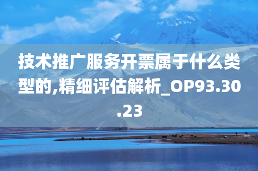 技术推广服务开票属于什么类型的,精细评估解析_OP93.30.23