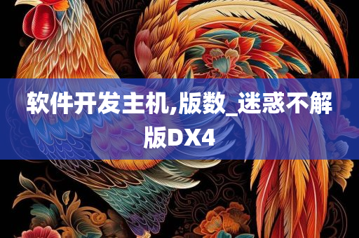 软件开发主机,版数_迷惑不解版DX4