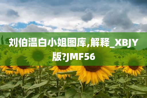 刘伯温白小姐图库,解释_XBJY版?JMF56