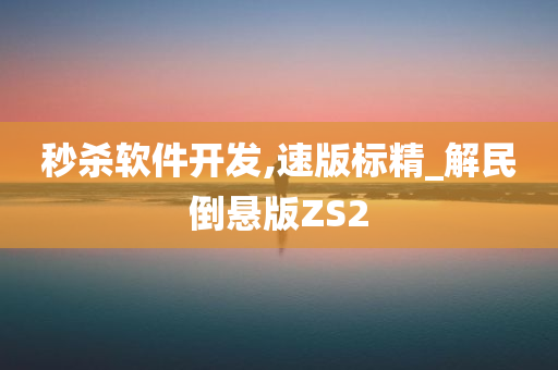 秒杀软件开发,速版标精_解民倒悬版ZS2