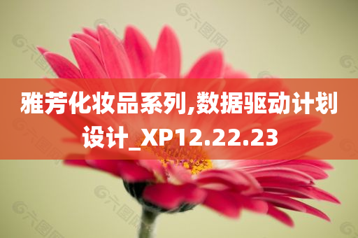 雅芳化妆品系列,数据驱动计划设计_XP12.22.23