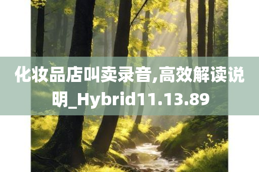 化妆品店叫卖录音,高效解读说明_Hybrid11.13.89