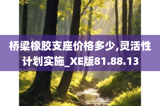 桥梁橡胶支座价格多少,灵活性计划实施_XE版81.88.13