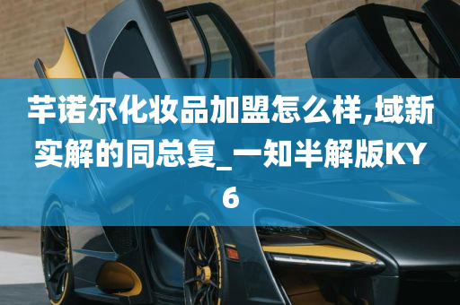 芊诺尔化妆品加盟怎么样,域新实解的同总复_一知半解版KY6