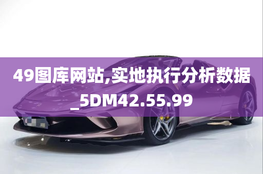 49图库网站,实地执行分析数据_5DM42.55.99