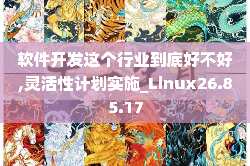 软件开发这个行业到底好不好,灵活性计划实施_Linux26.85.17