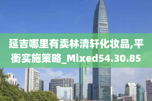 延吉哪里有卖林清轩化妆品,平衡实施策略_Mixed54.30.85