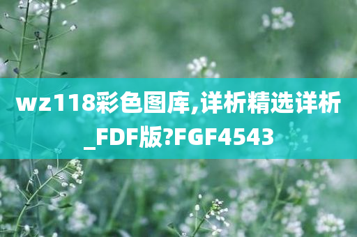 wz118彩色图库,详析精选详析_FDF版?FGF4543