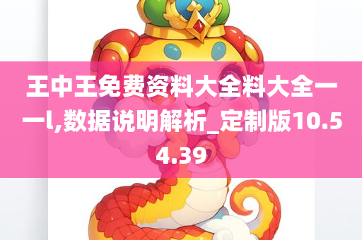 王中王免费资料大全料大全一一l,数据说明解析_定制版10.54.39