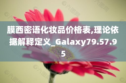 膜西密语化妆品价格表,理论依据解释定义_Galaxy79.57.95