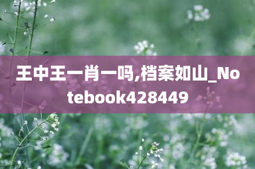 王中王一肖一吗,档案如山_Notebook428449