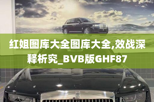 红姐图库大全图库大全,效战深释析究_BVB版GHF87