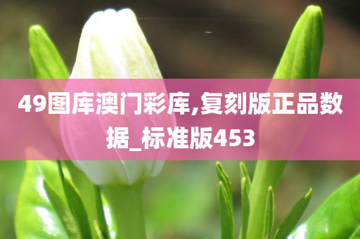 49图库澳门彩库,复刻版正品数据_标准版453