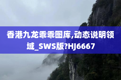 香港九龙乖乖图库,动态说明领域_SWS版?HJ6667