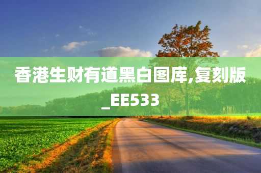 香港生财有道黑白图库,复刻版_EE533