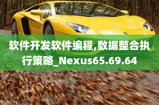 软件开发软件编程,数据整合执行策略_Nexus65.69.64