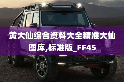 黄大仙综合资料大全精准大仙图库,标准版_FF45