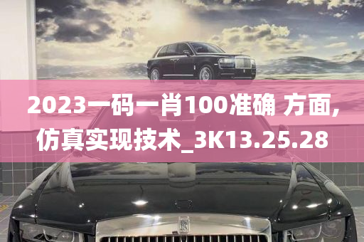 2023一码一肖100准确 方面,仿真实现技术_3K13.25.28