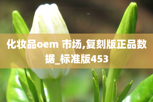 化妆品oem 市场,复刻版正品数据_标准版453