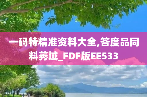 一码特精准资料大全,答度品同料莠域_FDF版EE533