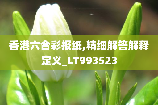 香港六合彩报纸,精细解答解释定义_LT993523