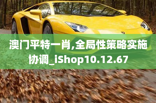 澳门平特一肖,全局性策略实施协调_iShop10.12.67