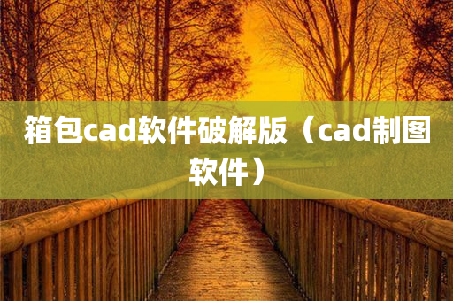 箱包cad软件破解版（cad制图软件）