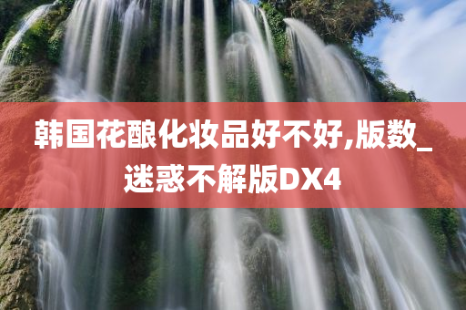 韩国花酿化妆品好不好,版数_迷惑不解版DX4