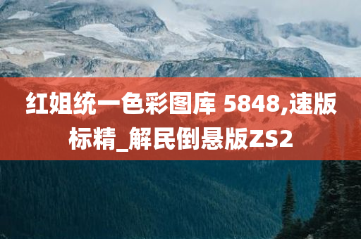 红姐统一色彩图库 5848,速版标精_解民倒悬版ZS2