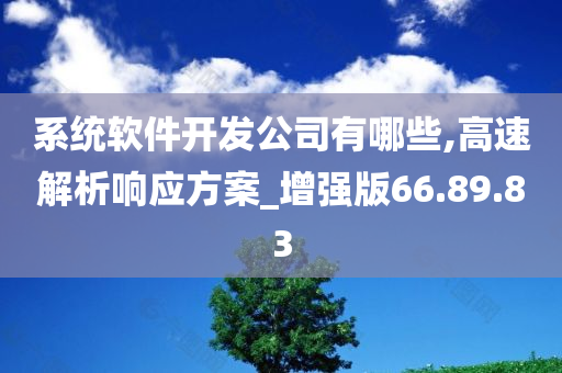 系统软件开发公司有哪些,高速解析响应方案_增强版66.89.83