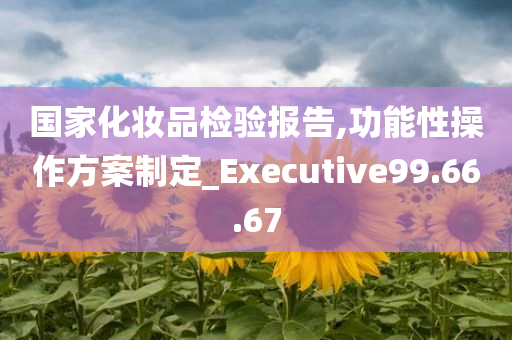 国家化妆品检验报告,功能性操作方案制定_Executive99.66.67