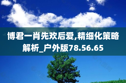 博君一肖先欢后爱,精细化策略解析_户外版78.56.65