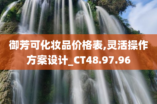 御芳可化妆品价格表,灵活操作方案设计_CT48.97.96