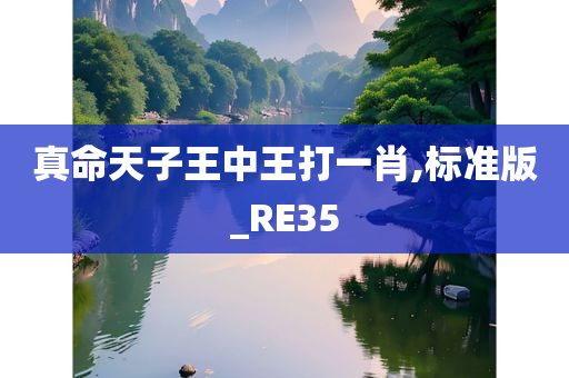 真命天子王中王打一肖,标准版_RE35