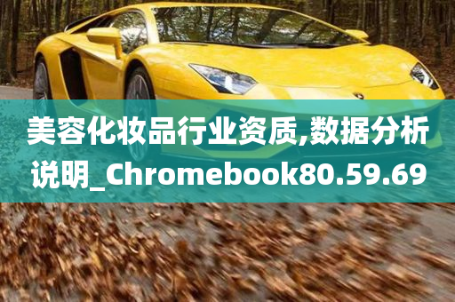 美容化妆品行业资质,数据分析说明_Chromebook80.59.69