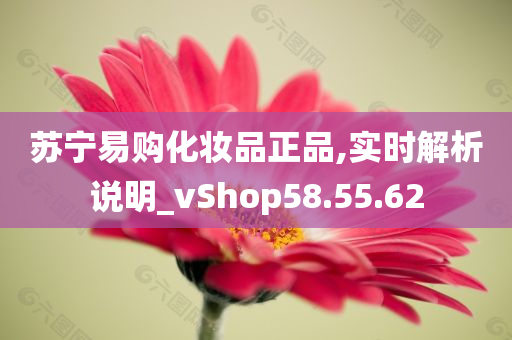 苏宁易购化妆品正品,实时解析说明_vShop58.55.62